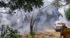 Ideam confirma 15 focos activos en Norte.