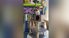 Son muchos los accesorios suntuosos que se encuentran en el mercado para el cuidado de las mascotas.