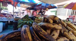 Los precios de los productos del campo no se han estabilizado, según los comerciantes consultados. Foto Leonardo Favio Oliveros / La Opinión