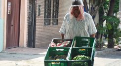 Según la OIT, los ocupados pierden hasta un 50% de su capacidad laboral cuando la temperatura supera los 33 grados. / Foto Archivo