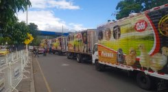 La empresa Maxcotalandia espera, entre agosto y octubre, duplicar la cifra de aves importadas cada mes, que es más de un millón./ Foto Cortesía
