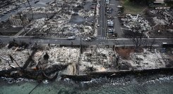 Incendio Maui