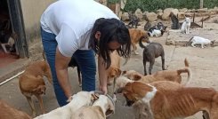 Amenazaron a concejal animalista de Cúcuta 