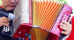 acordeon