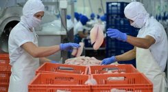 Cerca de 500.000 trabajadores fueron afiliados a las cajas de compensación familiar, el último año, en Colombia. Foto Archivo La Opinión