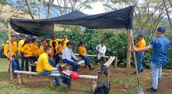 Los extensionistas se han convertido en aliados indispensables de los productores, según la FNC./ Foto Cortesía