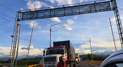 Nacionalización de cargamentos de pollos bebés se están haciendo en 45 minutos. Foto Anggy Polanco