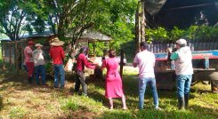 En el proyecto de sustitución de cultivos de coca por cacao y plátano se ha invertido más de $4.500 millones./Foto Cortesía
