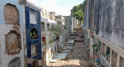 Cementerio Central de Cúcuta