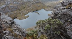 Se abrirán seis convocatorias en el periodo 2023-2024 para financiar proyectos enfocados en la conservación de áreas ambientales estratégicas del país. / Foto: Archivo