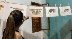 Las pinturas son realizadas por un biólogo amante de la riqueza natural del departamento.