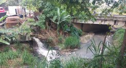 La iniciativa fue socializada con la autoridad ambiental y las comunidades. /Foto Archivo