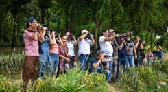 Más de 50 personas participarone en la primera ruta de avistamiento de aves en la ciudad.