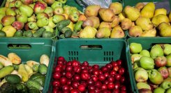 frutas
