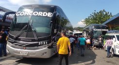 En el terminal de pasajeros de Cúcuta, transportadores y asesores de las empresas resaltaron que este año se movilizan menos viajeros en la temporada./Foto La Opinión