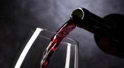 vino