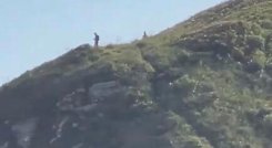 Extraterrestre captado en cámaras en Brasil. 