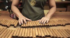 Industria del puro en Nicaragua 