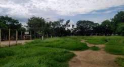 Lote abandonado en Niza