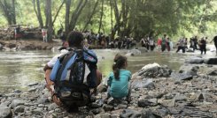 Procesos de migración 
