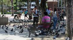 Regulación de drogas en parques. 