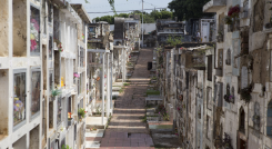 Seguirán las investigaciones en cementerio de cúcuta