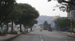 Día sin carro