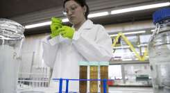 orina