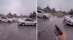lluvia de peces