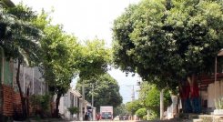 Atacaron a tiros a un escolta