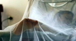 El chikungunya es una enfermedad transmitida por mosquitos que puede causar dolor debilitante en las articulaciones. / Foto: Colprensa