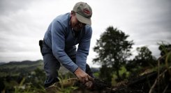 CORTE ORDENÓ REINTEGRACIÓN DE ORGANIZACIÓN CAMPESINA A PROGRAMA EN CÚCUTA. / Foto: Colprensa 