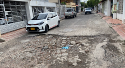Grandes baches se apoderarón de las vías de los Acacios.