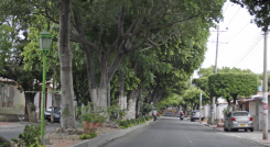 Piden rescate de la Avenida de Los Faroles.