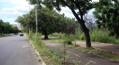 Homicidio por la Avenida del Río.