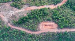 La deforestación preocupa, porque le resta competitividad a Norte de Santander, la cual se suma al reto que sigue siendo la inseguridad./ Foto Archivo