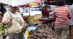 Las papas aportaron al IPC de la ciudad con un 0,15 puntos porcentuales. / Foto Archivo La Opinión