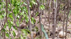 Los restos óseos que encontraron en el Anillo Vial Occidental serían de una mujer