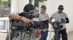 Sectores productivos 