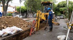 Arreglos en Pinos, Cúcuta