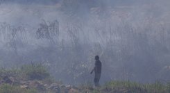 Incendio forestal