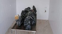 Cuerpos sin vida en Ábrego