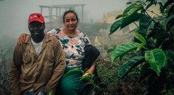 Domingo Torres, de Ragonvalia, ganó en 2023 como el mejor café./ Foto Archivo