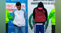 Los pulgas