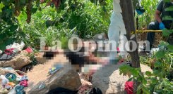Pareja asesinada