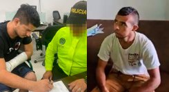 disidentes