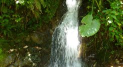 Hoy se celebra el Día Mundial del Agua./Foto Archivo