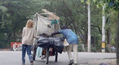 Animales de compañía de habitantes de calle 