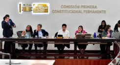 La iniciativa una vez más se frustró en la Comisión Primera del Senado, que espera al fin dar el debate la próxima semana. Sectores oficialistas acusaron a la oposición de “evitar la discusión”.