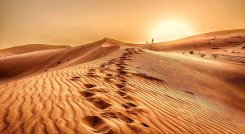 Desierto de Arabia. 